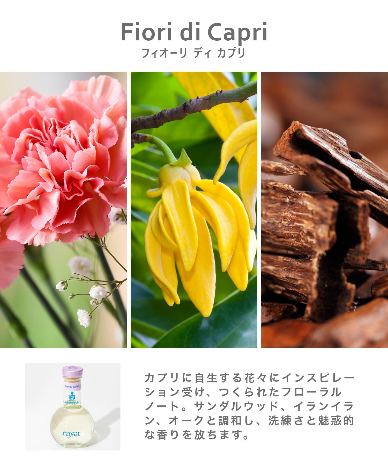 Fiori, Mediterraneo, Via Camerelle ディフューザー 100mL×3